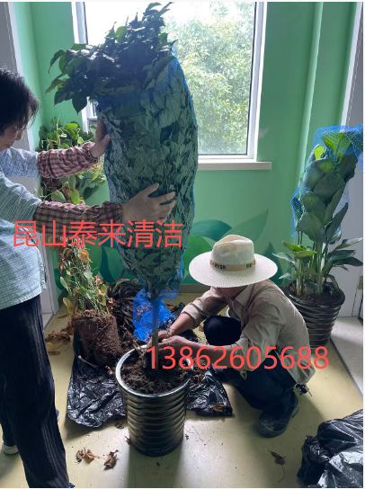 2025101313551931.png image.png